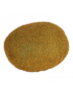 Réplica de Imitación Kiwi Ø 7cm