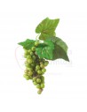Réplica de Imitación Racimo de uvas verde  22cm
