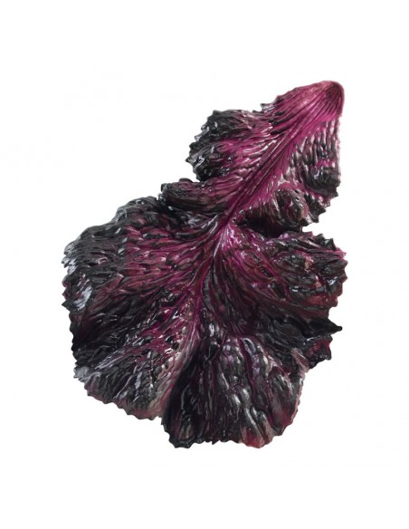 Réplica de Imitación Hoja de lechuga violeta  16x25cm