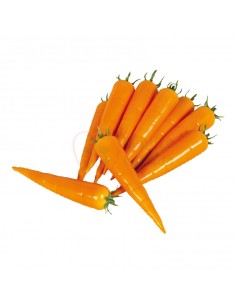 Réplica de Imitación Zanahorias Ø 4cm 20cm