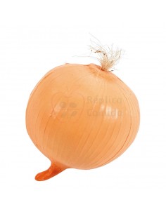 Réplica de Imitación Cebolla cabezona Ø 8cm