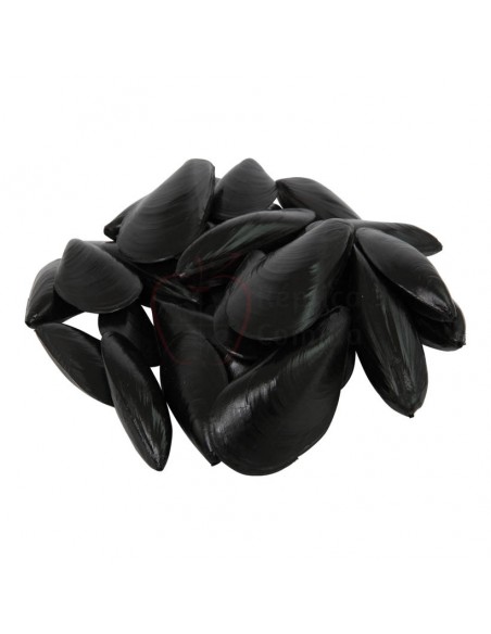 Réplica de Imitación Mejillones